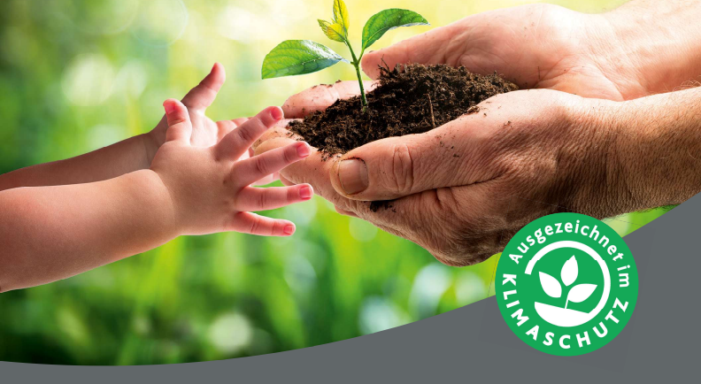 Download certificate